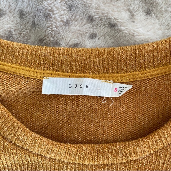 Lush Sweater from Nordstrom - Picture 2 of 3